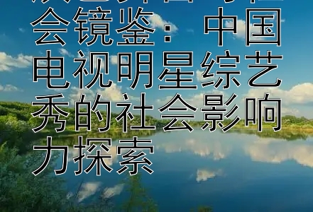 演艺舞台与社会镜鉴：中国电视明星综艺秀的社会影响力探索