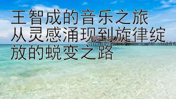 王智成的音乐之旅  
从灵感涌现到旋律绽放的蜕变之路